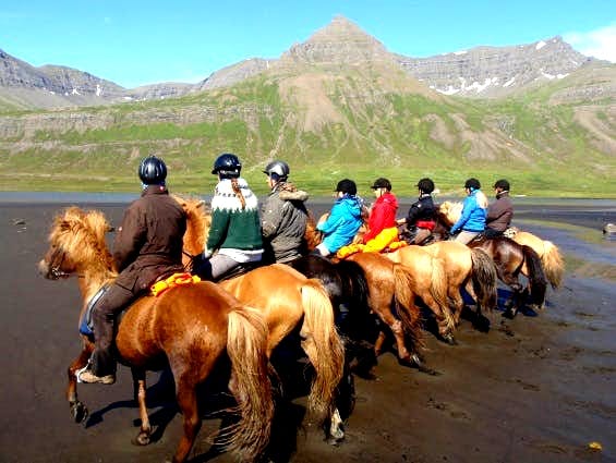 Going horseback riding in Iceland is one of the most essential local experiences travelers can have.
