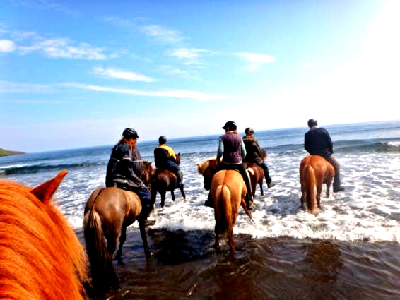 Ride in the tide of the Atlantic Ocean on a horse riding tour in the East Fjords of Iceland.