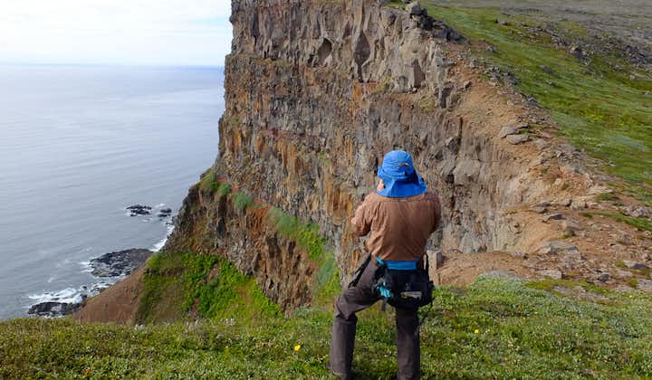 한 등산객이 서피오르드 호른스트란디르의 푸른 절벽 위 잔디밭에 서 있습니다.