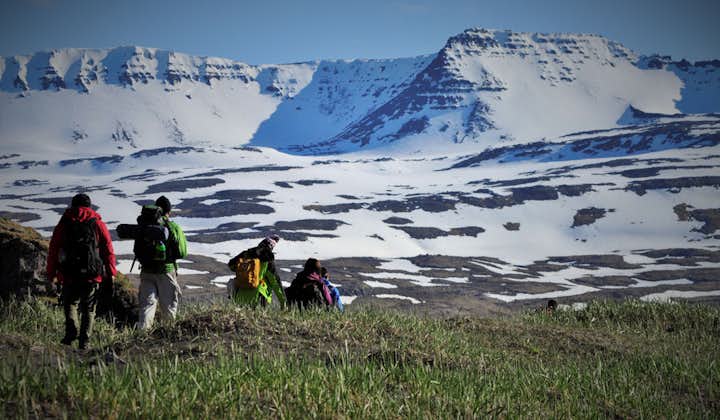 Hikers walk along grassy slopes in the Hornstrandir Nature Reserve in the Westfjords with a snowy mountainous landscape rising in front.