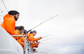 Wyprawa na wędkowanie morskie w zatoce Faxaflói oznacza wypłynięcie ze Starego Portu w centrum Reykjaviku.