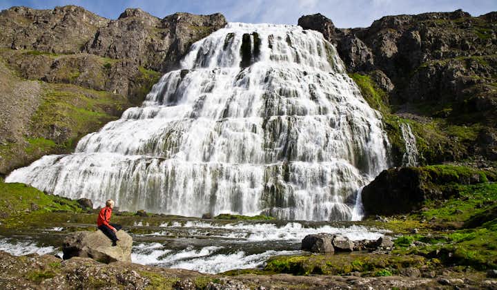 On this tour of the Westfjords, you'll see the magnificent Dynjandi waterfall.