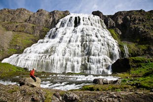On this tour of the Westfjords, you'll see the magnificent Dynjandi waterfall.