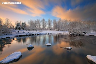 Snow-covered trees mirrored in a serene lake in Reykjavik's city center.