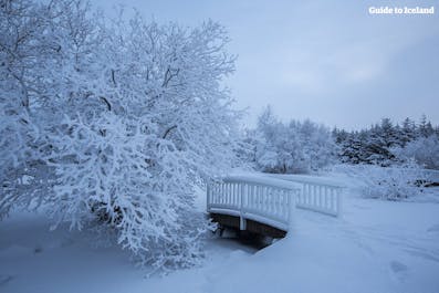 Der Winter legt eine Schneedecke auf eine Brücke in einem Park in Reykjavik.