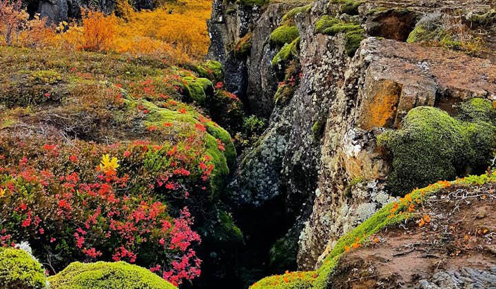 The UNESCO World Heritage site Þingvellir National Park cloaked in beautiful autumn colours.
