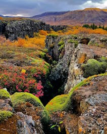 Þingvellir National Park in autumn colours is one of the most beautiful sights in Iceland