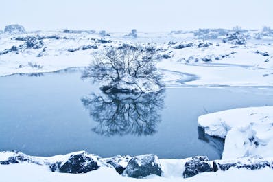See the frozen environment of Lake Mývatn on this 10-day circle of Iceland tour.