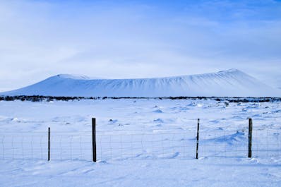 See the Skútustaðir craters in the Mývatn area on a circle of Iceland tour.