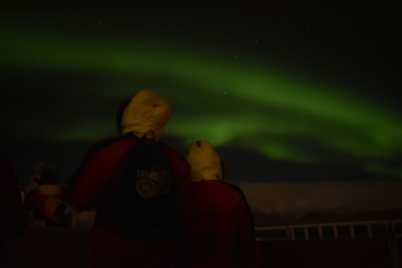 Northern Lights Cruise From Reykjavík | Guide To Iceland