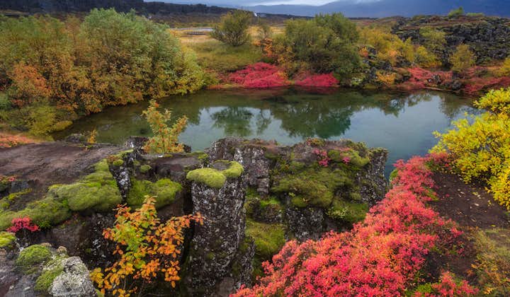 Der Nationalpark Þingvellir des Goldenen Kreises ist in wunderschöne rote, gelbe und grüne Farben gehüllt