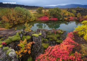 Der Nationalpark Thingvellir des Goldenen Kreises ist in wunderschöne rote, gelbe und grüne Farben gehüllt