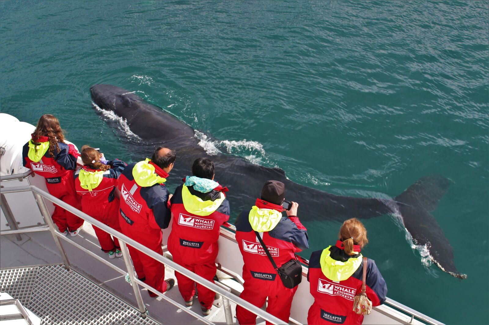 Warm overalls are provided on this Whale Watching tour from Akureyri.
