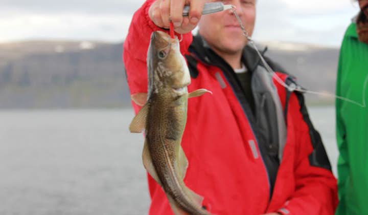 Authentique Sortie sur Bateau de Pêche en Mer d'1 heure dans les Fjords de l'Ouest avec Transfert depuis Bildudalur