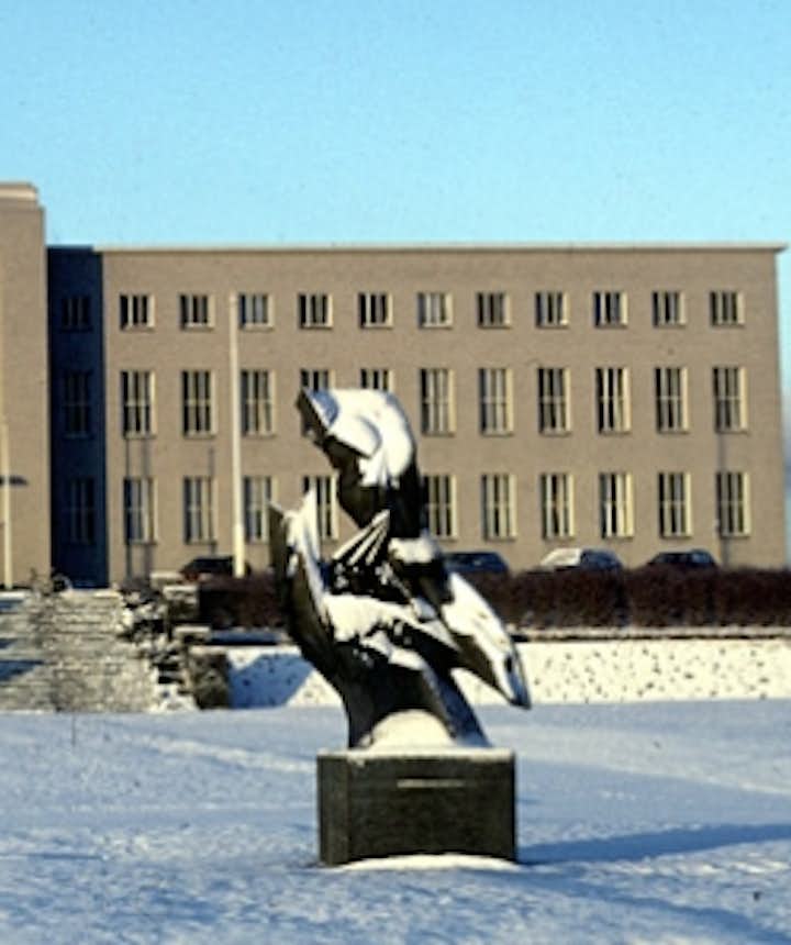 University of Iceland, perguruan tinggi negeri di Islandia