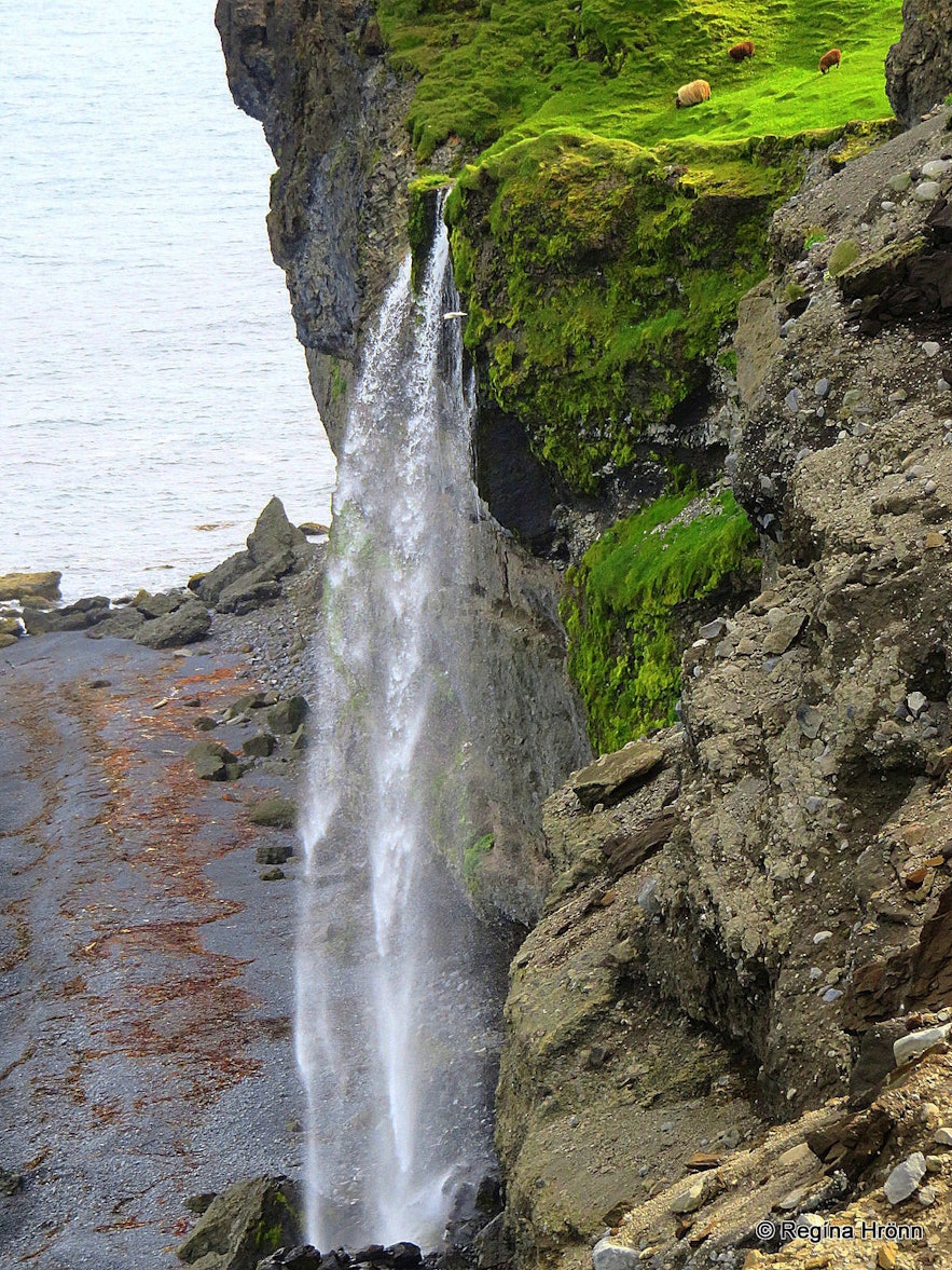  Ketubjörg Cliffs and Dalshorn at Skagi in North-Iceland