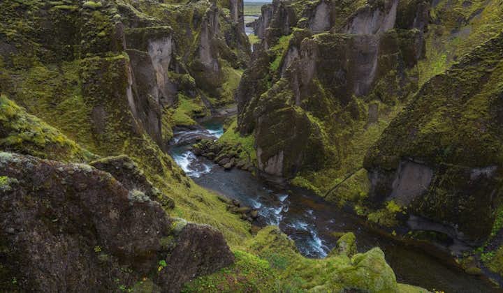 Fjaðrárgljúfur is a gorgeous canyon found on Iceland's South Coast.