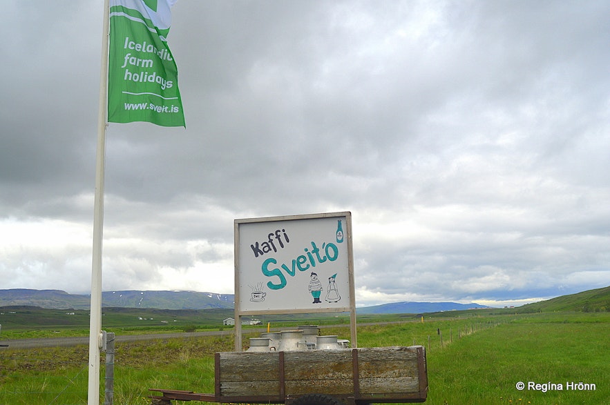 Kaffi Sveitó in Víðidalur valley