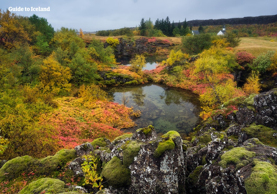 夏のアイスランド｜シンクヴェトリル国立公園の風景（Þingvellir）