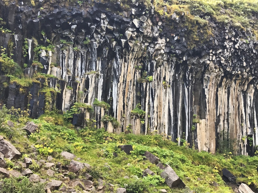 Basaltsäulen rund um den Wasserfall Svartifoss