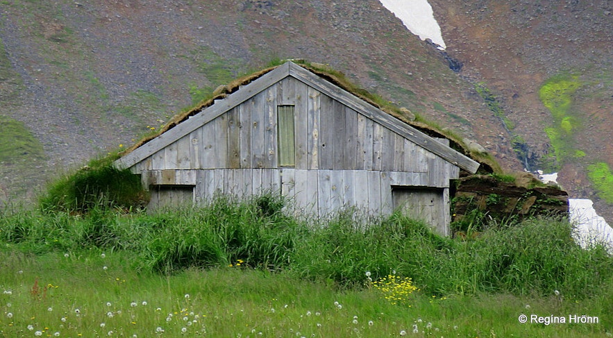 Turf outhouse in Svarfaðardalur in North-Iceland