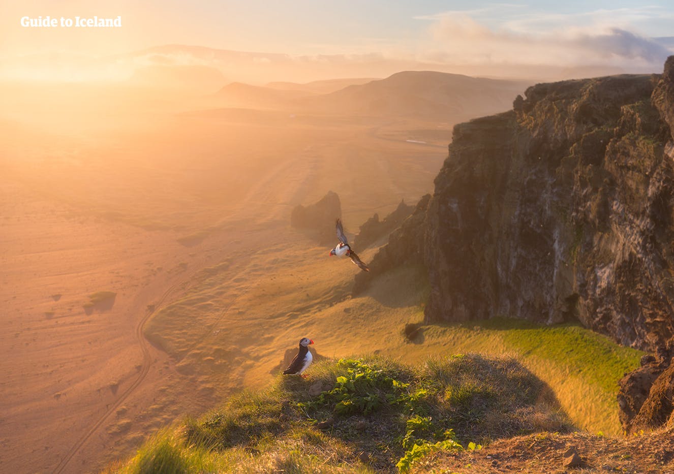Klify Dyrhólaey są jednym z najpopularniejszych na Islandii miejsc odwiedzania maskonurów, a także oferują spektakularne widoki we wszystkich kierunkach.