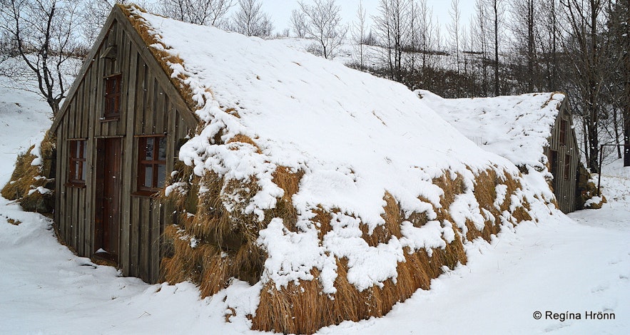 Turf outhouse at Dalshöfði farm in South-Iceland
