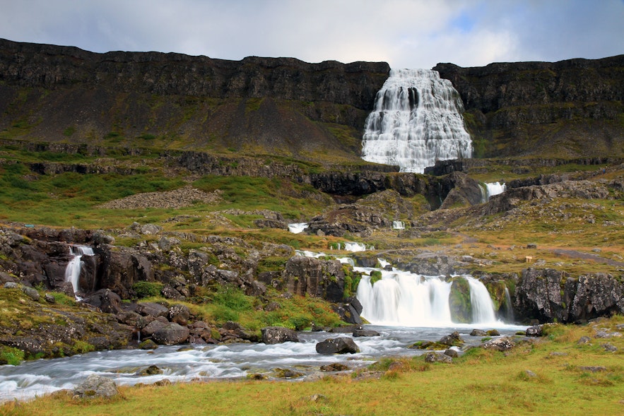 Camp under the Dynjandi Waterfall in the Westfjords