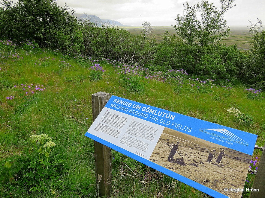 An information sign in Skaftafell about the old fields