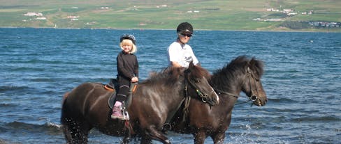 子供向けの乗馬ツアーでアイスランドの馬に触れ合える
