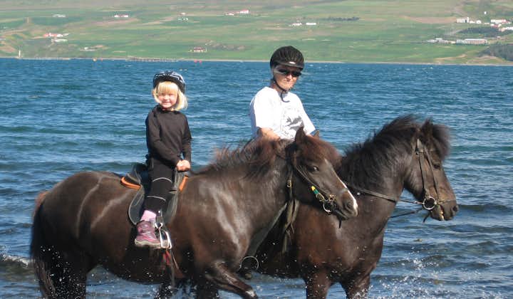 Let your kid meet the Icelandic horse with a Children's Horse Riding Lesson.