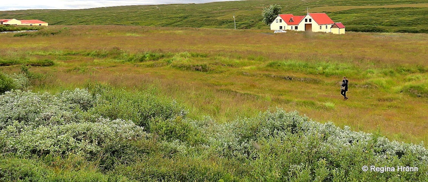 Hofstaðir Mývatn - the Viking longhouse