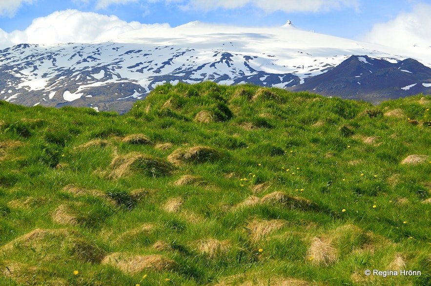 Laugarbrekka Snæfellsnes and Snæfellsjökull glacier