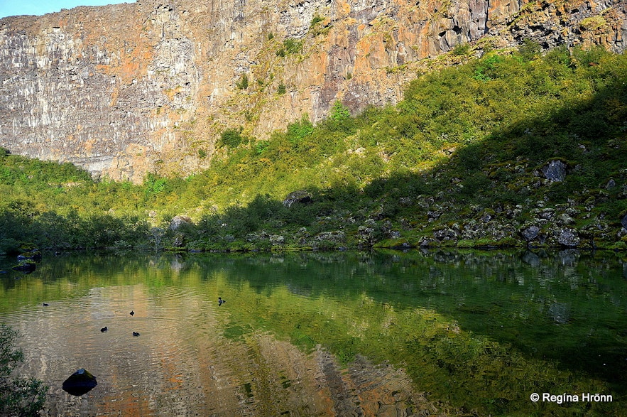 Botnstjörn pond in Ásbyrgi North-Iceland