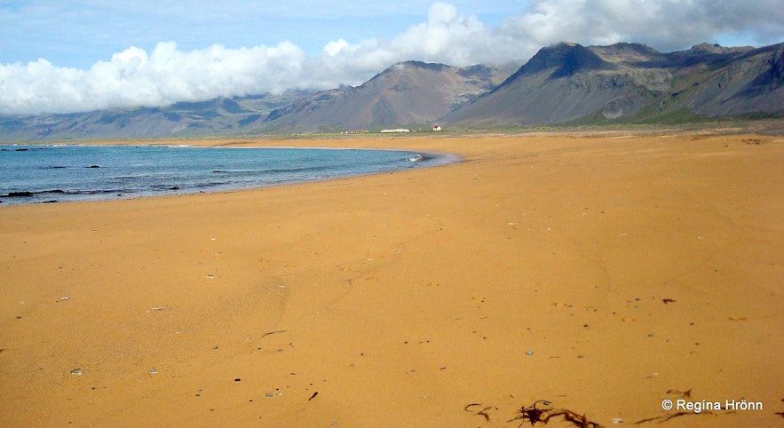 The beach by Langaholt Snæfellsnes peninsula