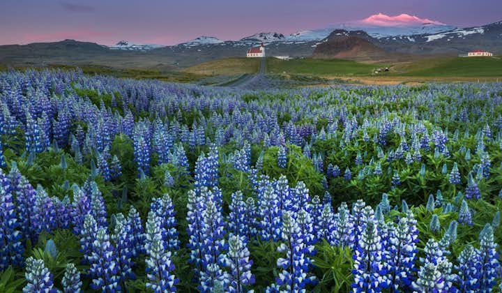 三大冰岛夏季热门一日游优惠套票｜黄金圈＋斯奈山半岛＋火山内部探险