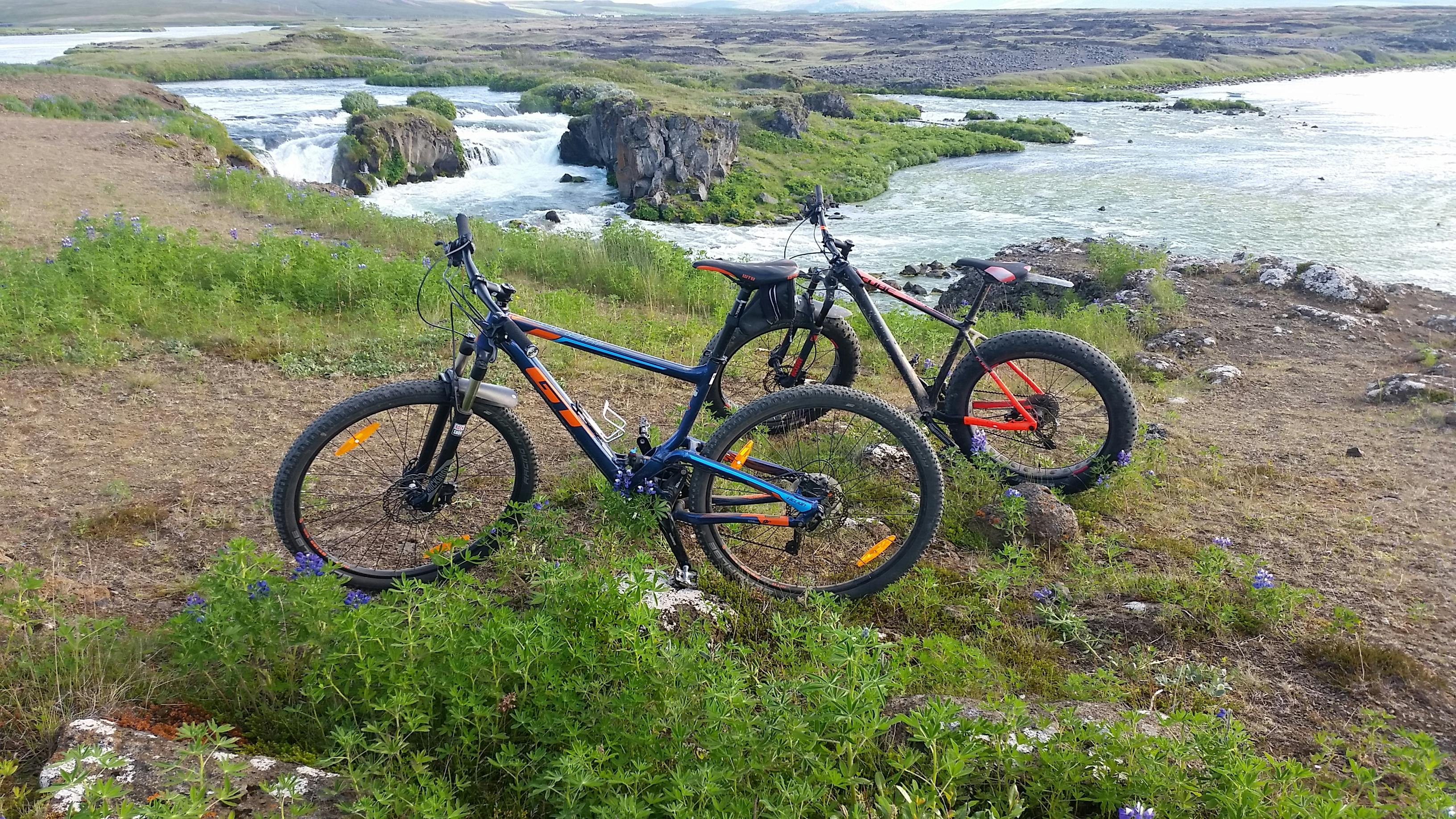 在冰島河邊騎單車