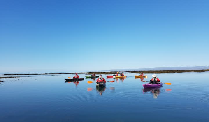 A group of kayakers on a still day near Stokkseyri.