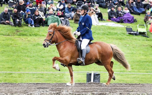 The National Icelandic Horse Competition 2018