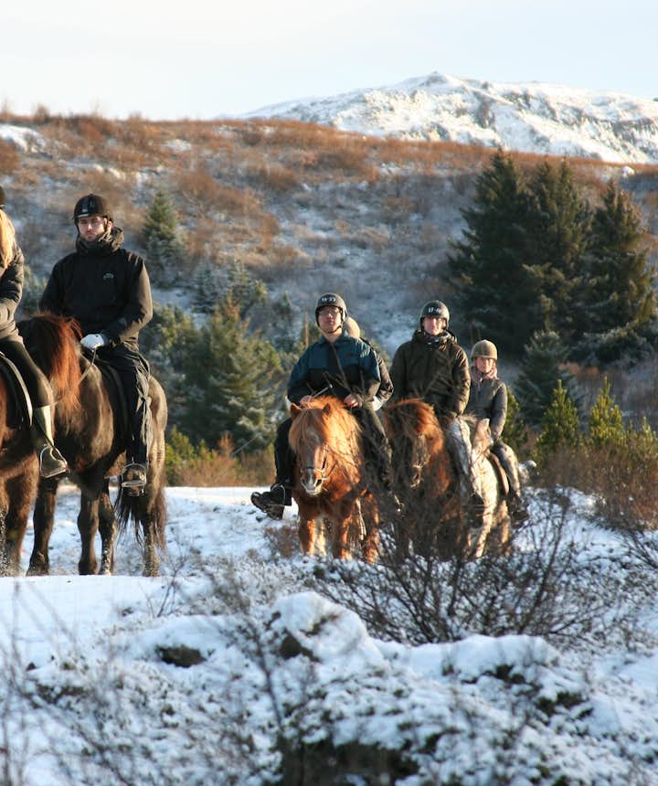 Icelandic horses are the country's most iconic animal; there are are riding tours suitable for both newcomers and experienced riders. 