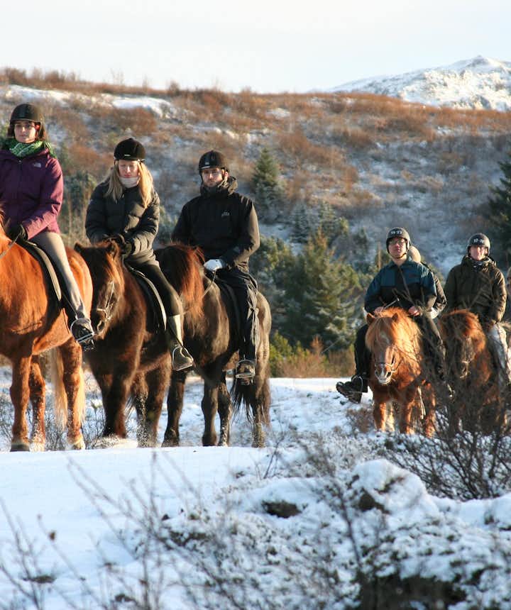 Icelandic horses are the country's most iconic animal; there are are riding tours suitable for both newcomers and experienced riders.