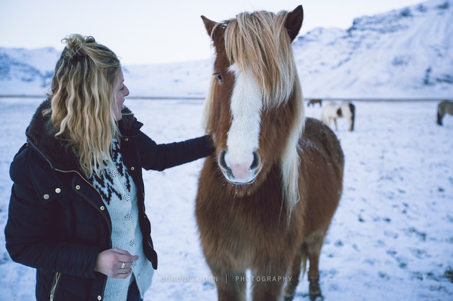 冰岛羊毛衣抗寒能力极强