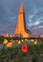 Die Hallgrímskirkja in Reykjavík erstrahlt im warmen, bernsteinfarbenen Licht der Mitternachtssonne.