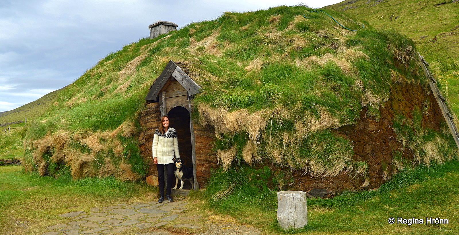 viking longhouses