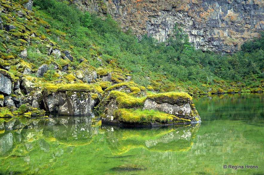 Botntjörns pond in Ásbyrgi, located in northeast Iceland.