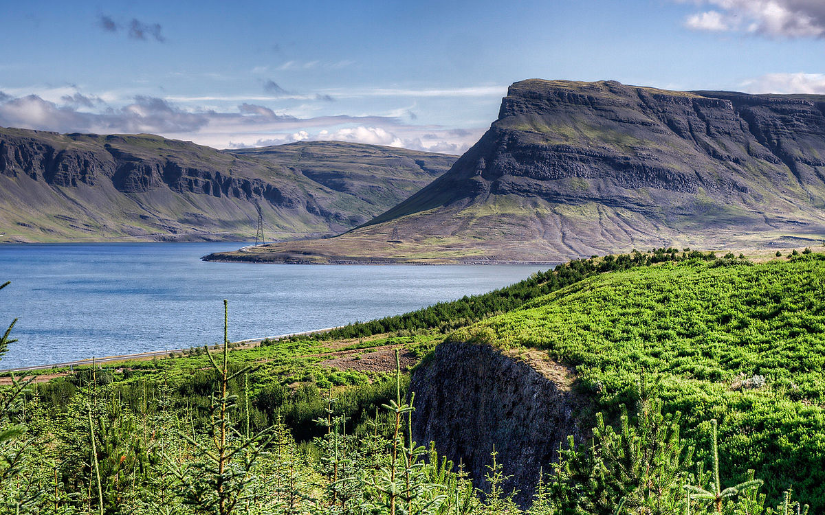 Hvalfjordur, in west Iceland, translates to 'Whale Fjord'.