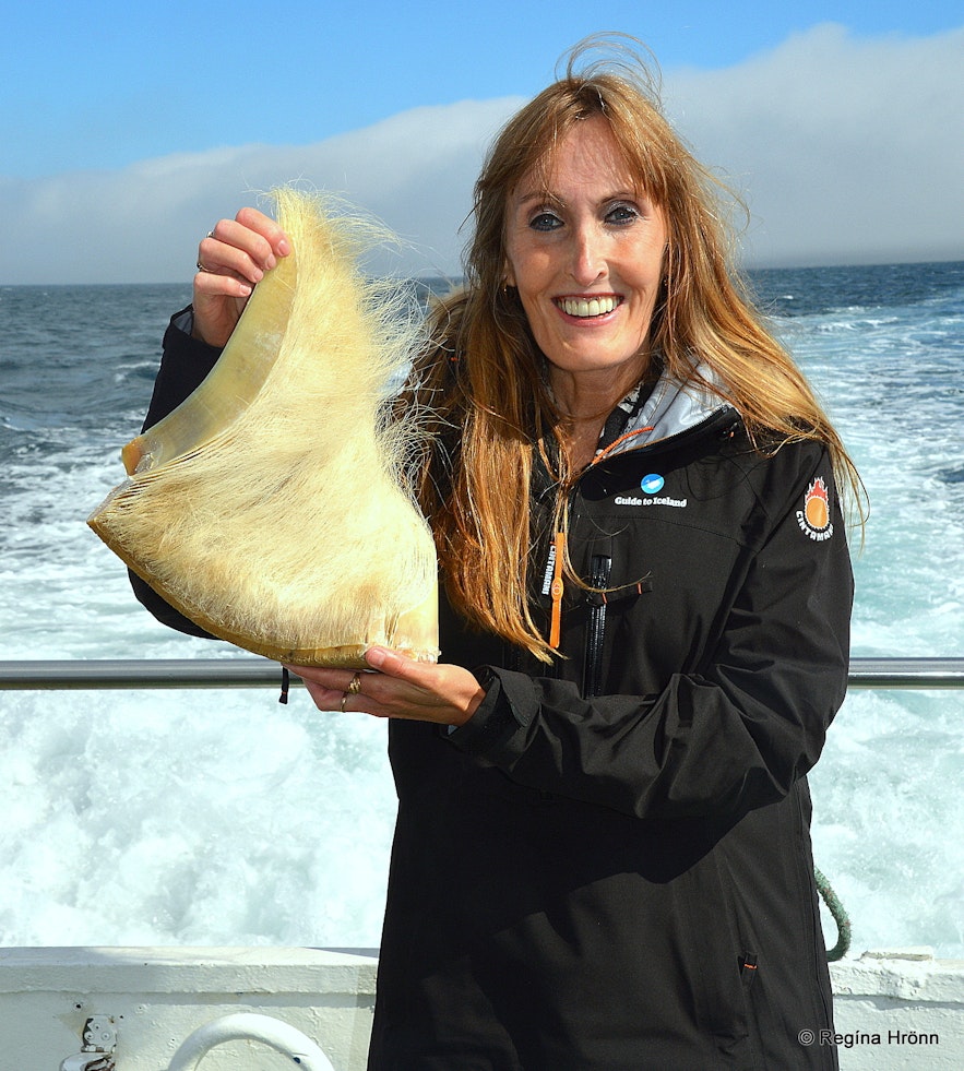 Regína holding a baleen of a whale