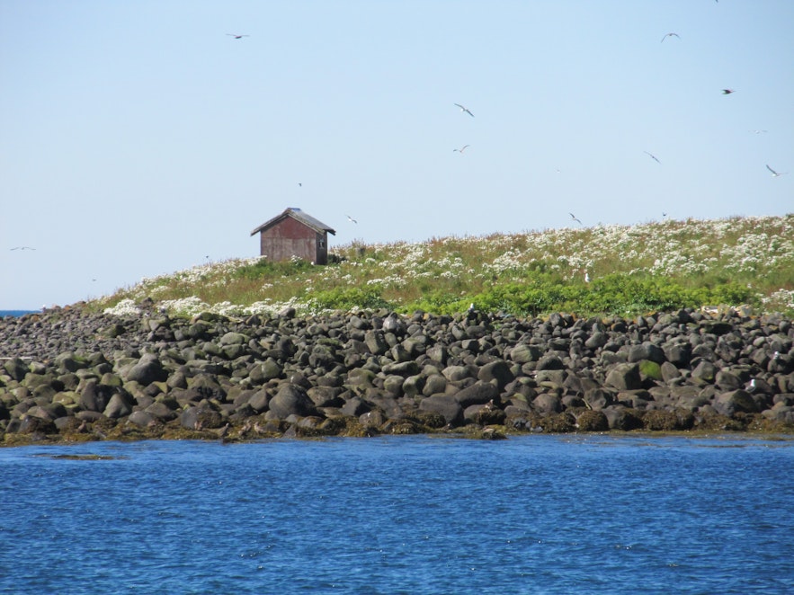 ルンドエイ島にあるバードウオッチング用の小屋