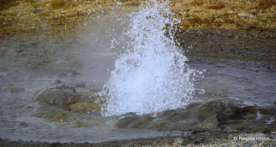Spouting hot spring at Hveravellir