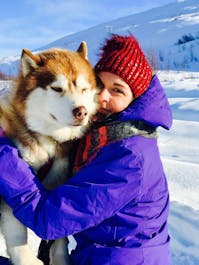 Give the Huskies a cuddle after a dog sledding tour.